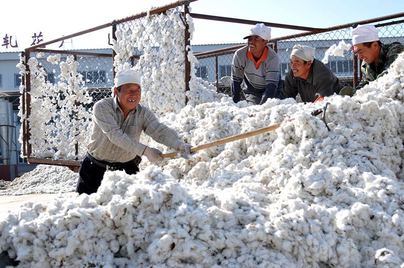 图看新疆现代化种收棉花 感受中国西北的现代农业